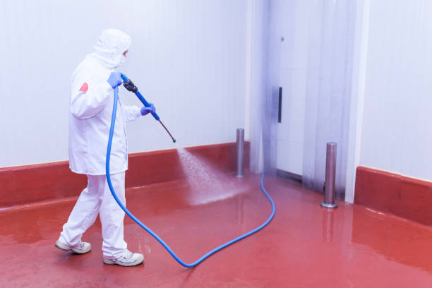 Best Residential Pressure Washing in Escatawpa, MS